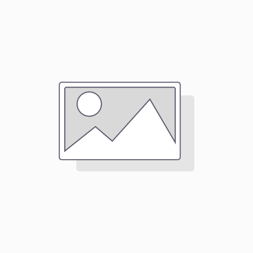99-W480C